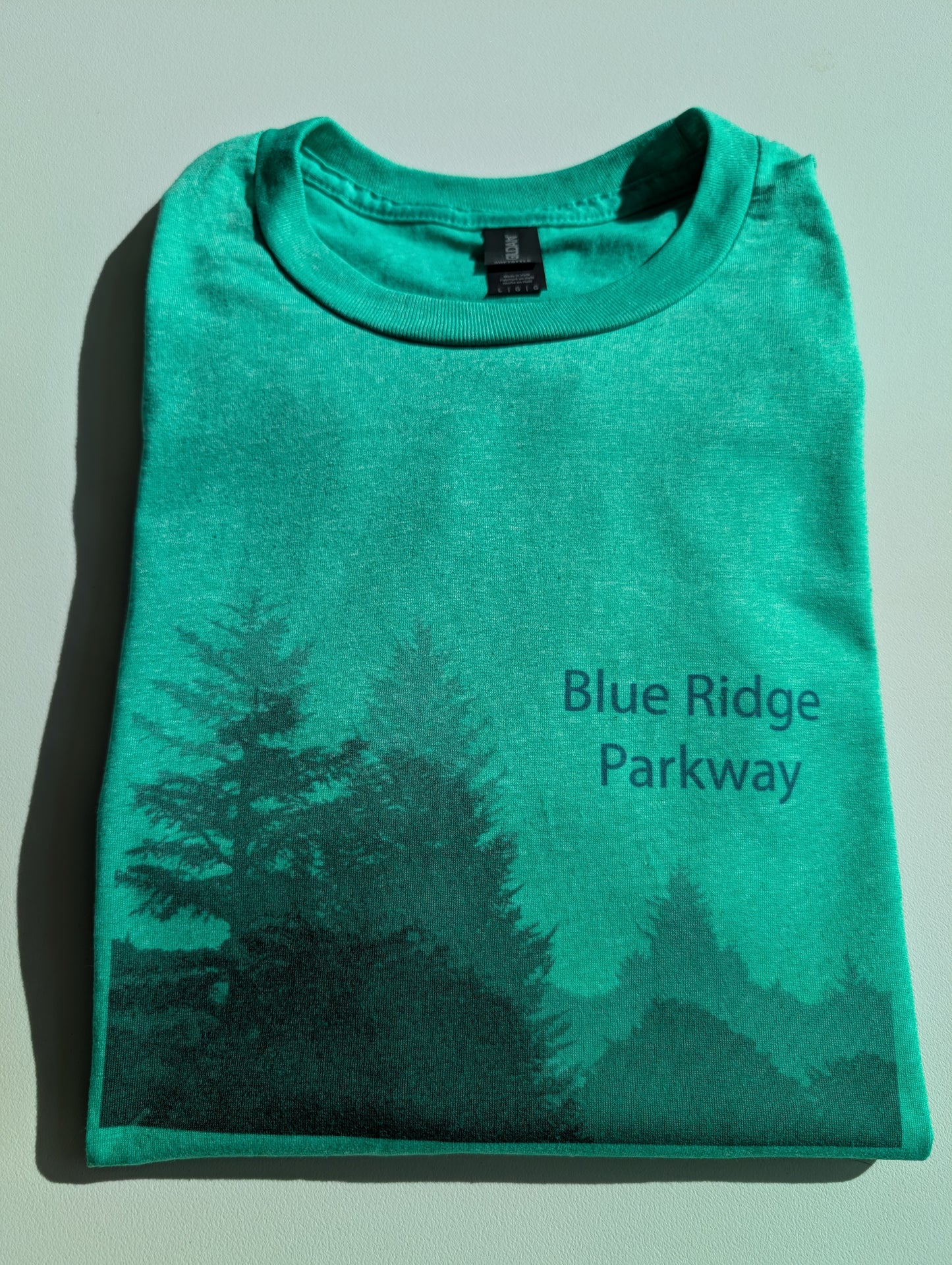Blue Ridge Parkway Fog T-Shirt