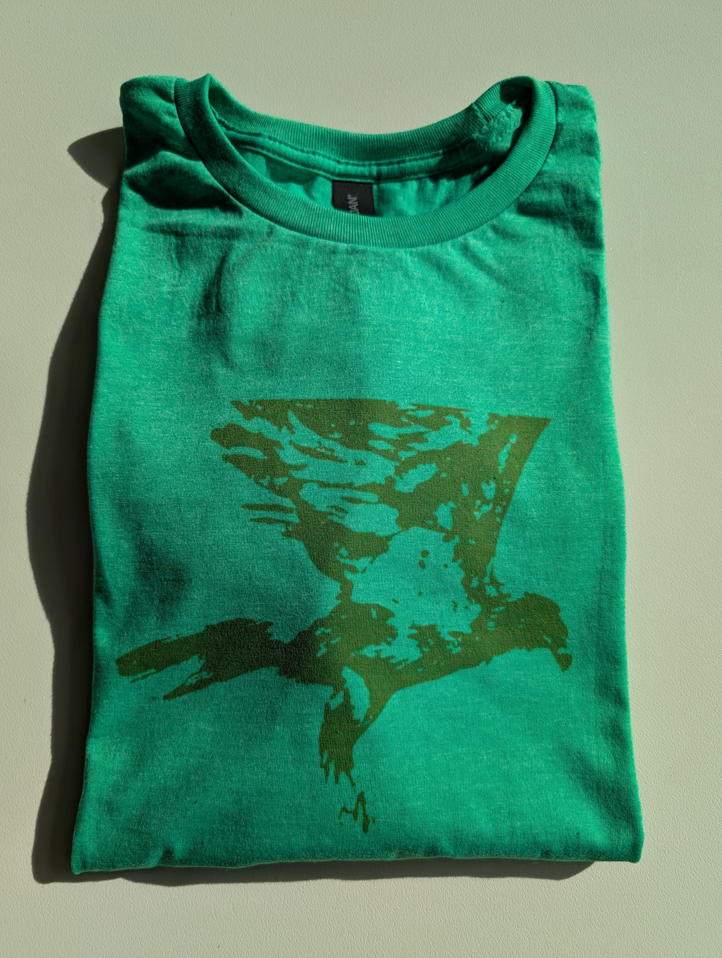 Bald Eagle T-Shirt