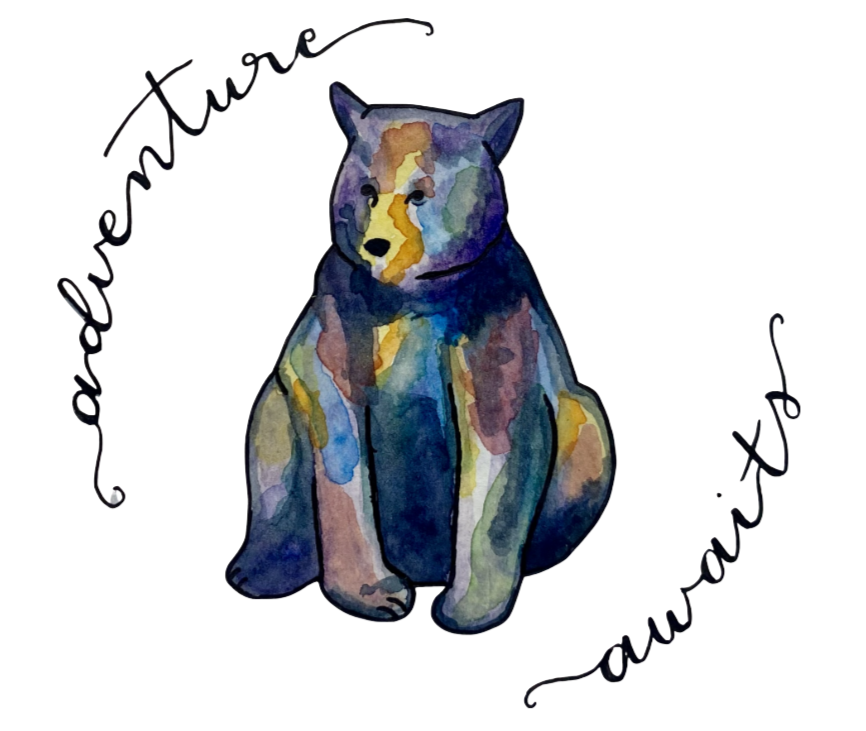Adventure Awaits Bear